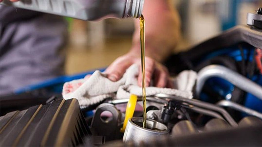 Skoda Servis Cena