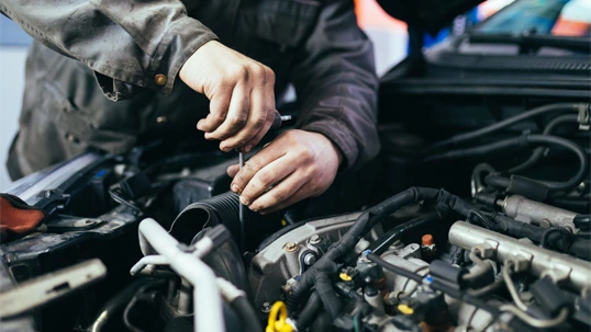 Skoda Servis Cena